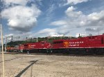 CP 8026